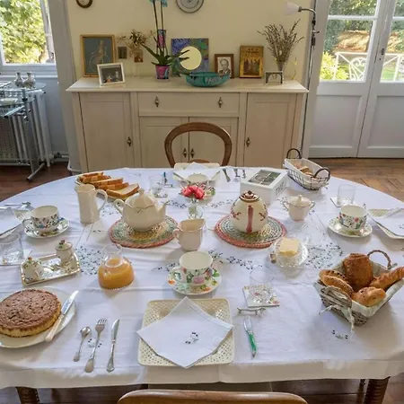 Couette-café Oiseau Du Paradis Fontenay-le-Comte